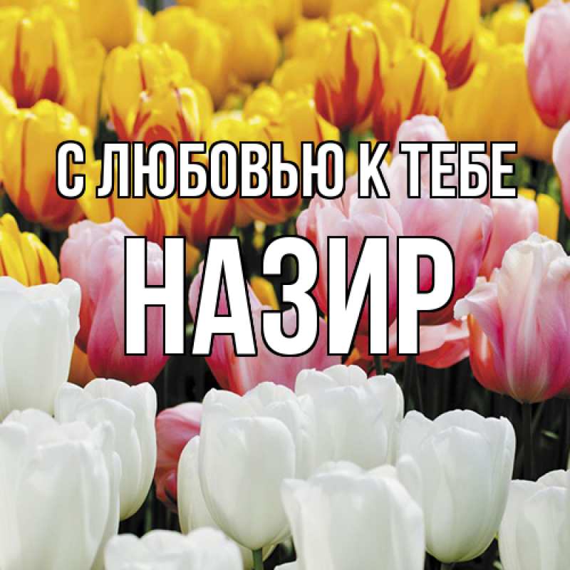 Картинка С любовью к тебе, Назир