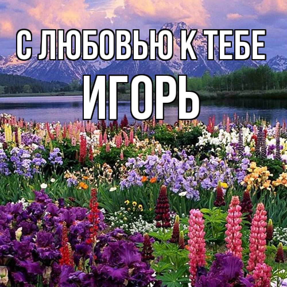 Открытка  с именем. Игорь, С любовью к тебе  