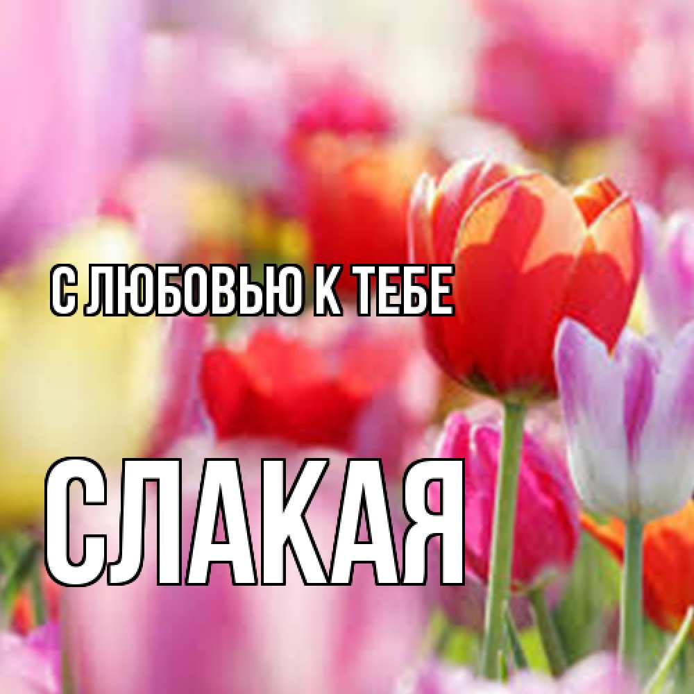 Открытка  с именем. Слакая, С любовью к тебе  