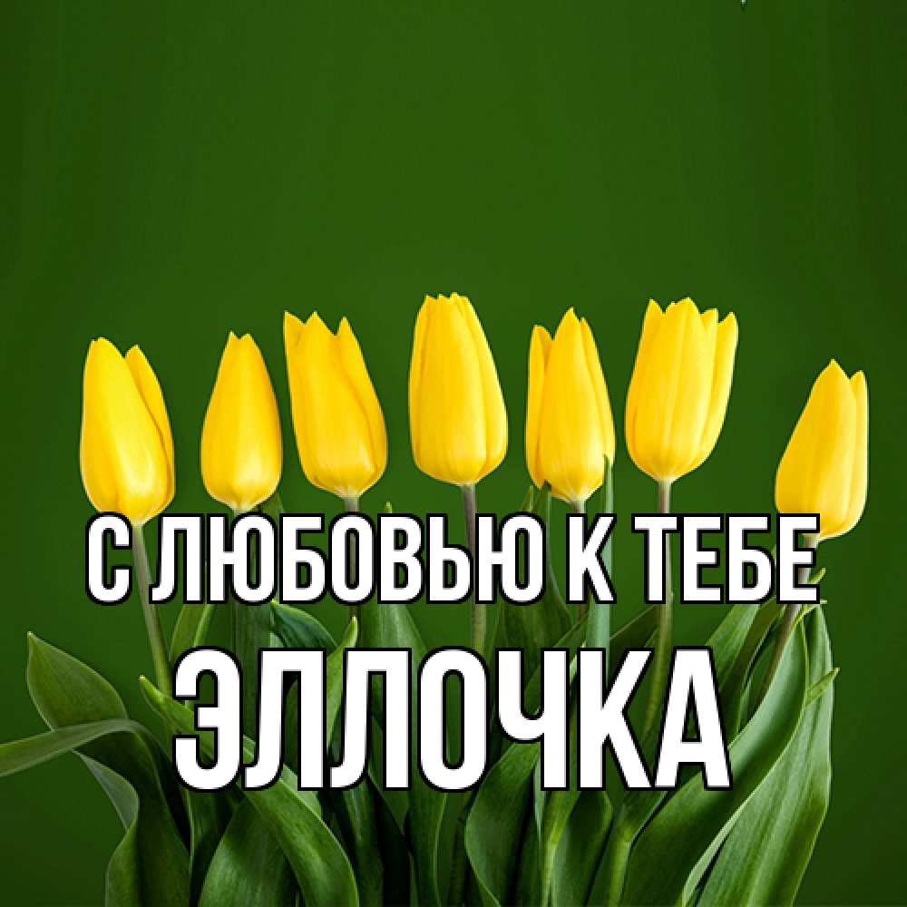 Открытка  с именем. Эллочка, С любовью к тебе  