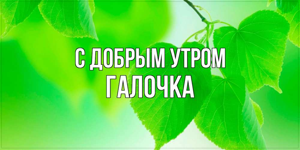 Открытка  с именем. Галочка, С добрым утром  