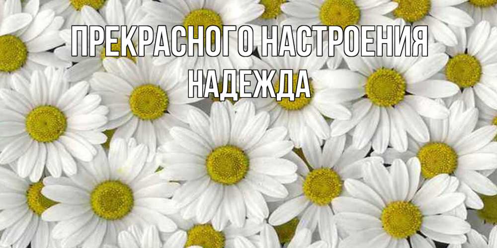 Открытка  с именем. Надежда, Прекрасного настроения  