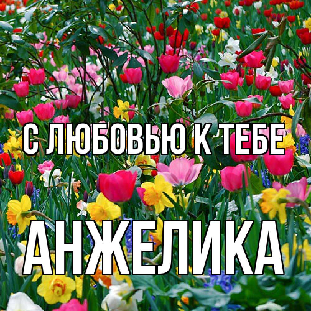 Открытка  с именем. Анжелика, С любовью к тебе  