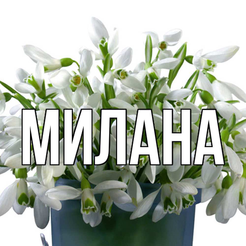 Открытка  с именем. Милана, Главная  