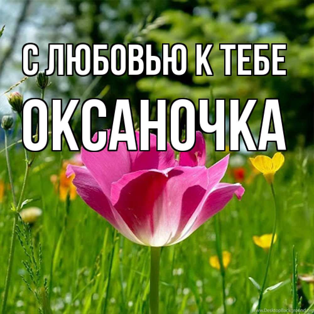 Открытка  с именем. ОКСАНОЧКА, С любовью к тебе  