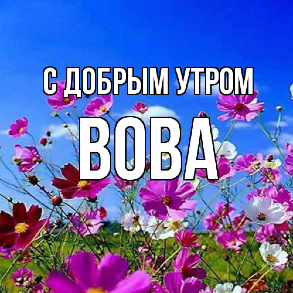 Открытка  с именем. Вова, С добрым утром  