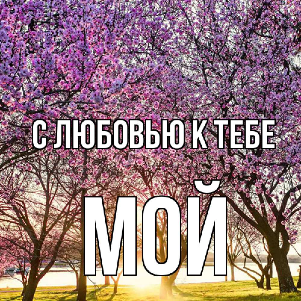 Открытка  с именем. Мой, С любовью к тебе  