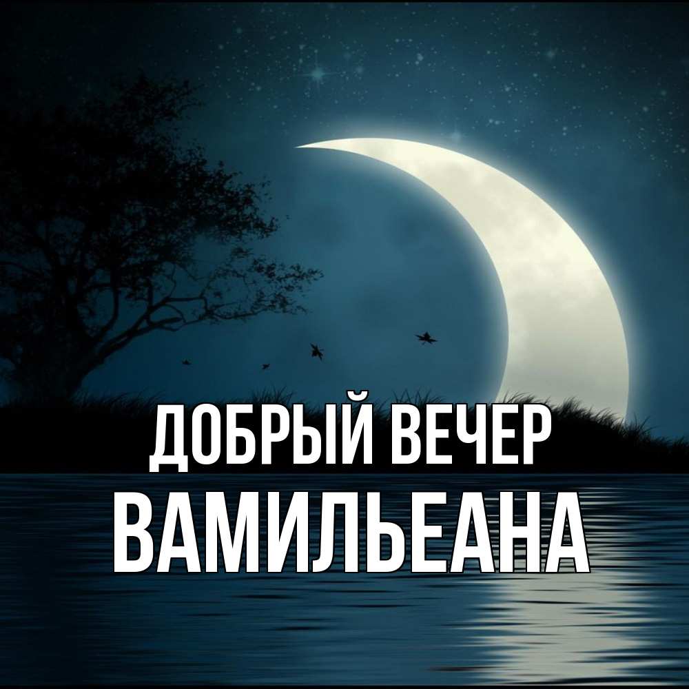 Открытка  с именем. Вамильеана, Добрый вечер  