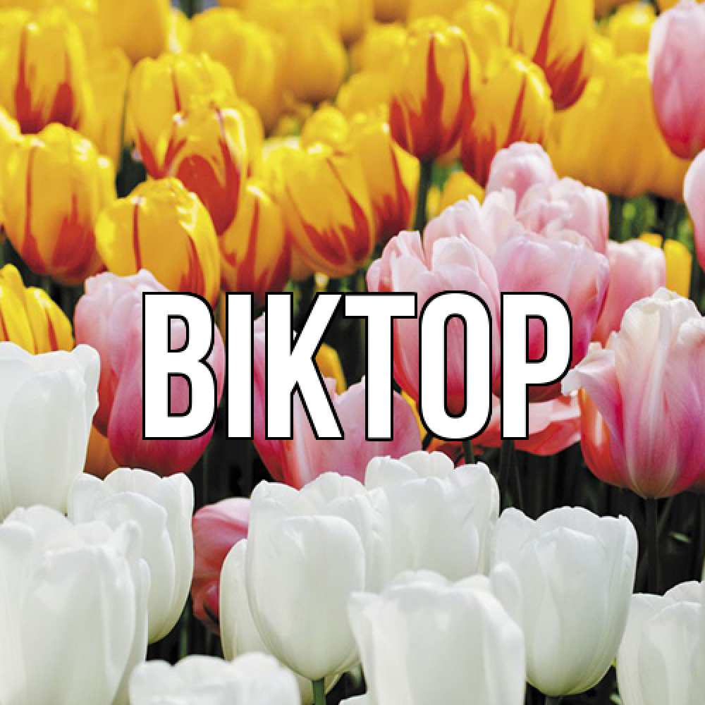 Открытка  с именем. Віктор, Главная  