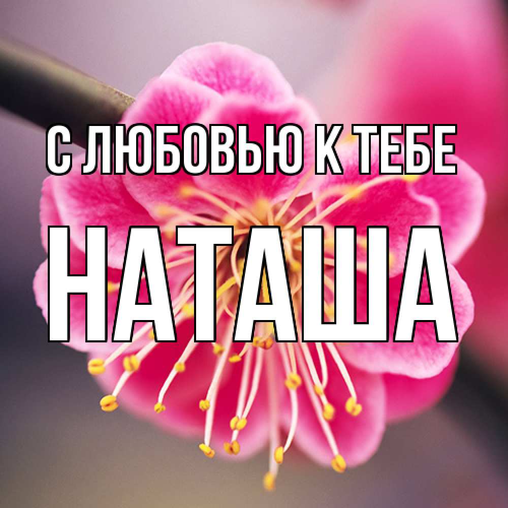 Открытка  с именем. Наташа, С любовью к тебе  