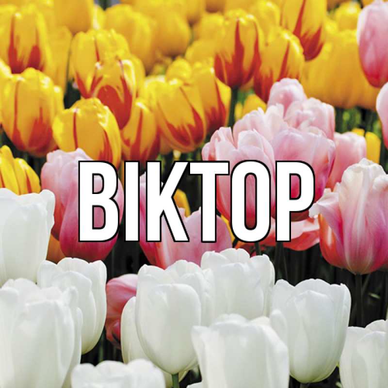 Картинка  с именем , Віктор