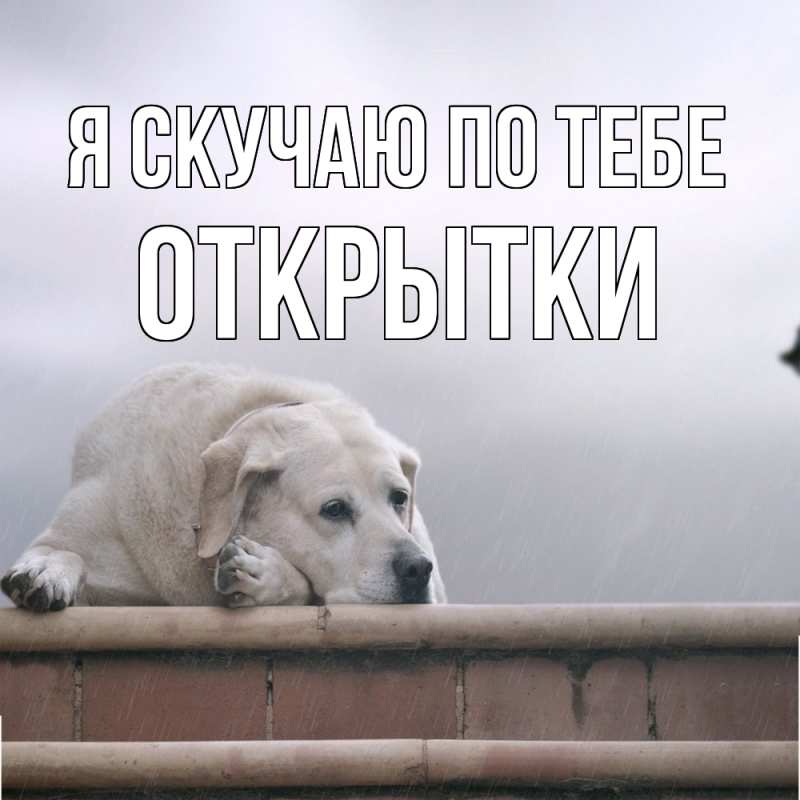 Картинка Я скучаю по тебе, открытки