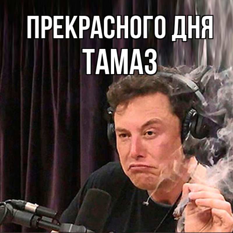 Картинка Прекрасного дня, Тамаз