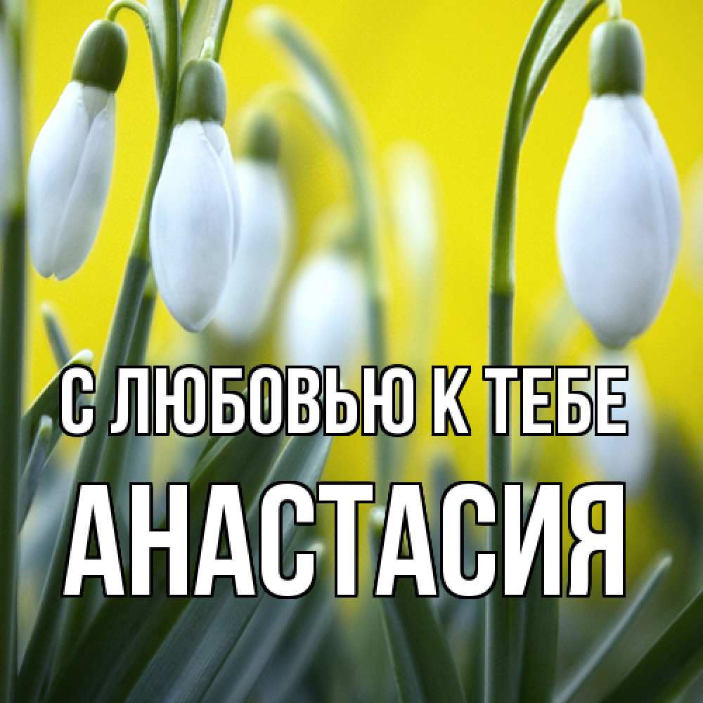 Открытка  с именем. Анастасия, С любовью к тебе  