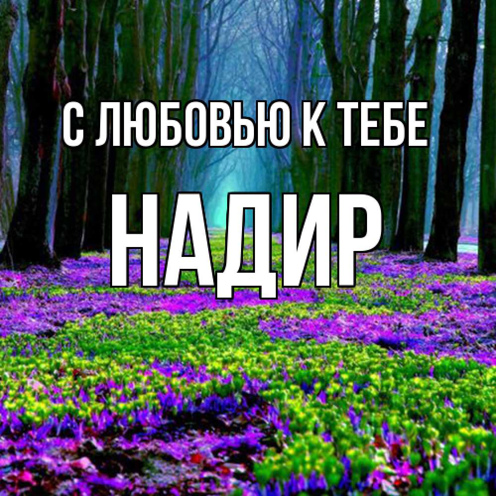 Открытка  с именем. Надир, С любовью к тебе  