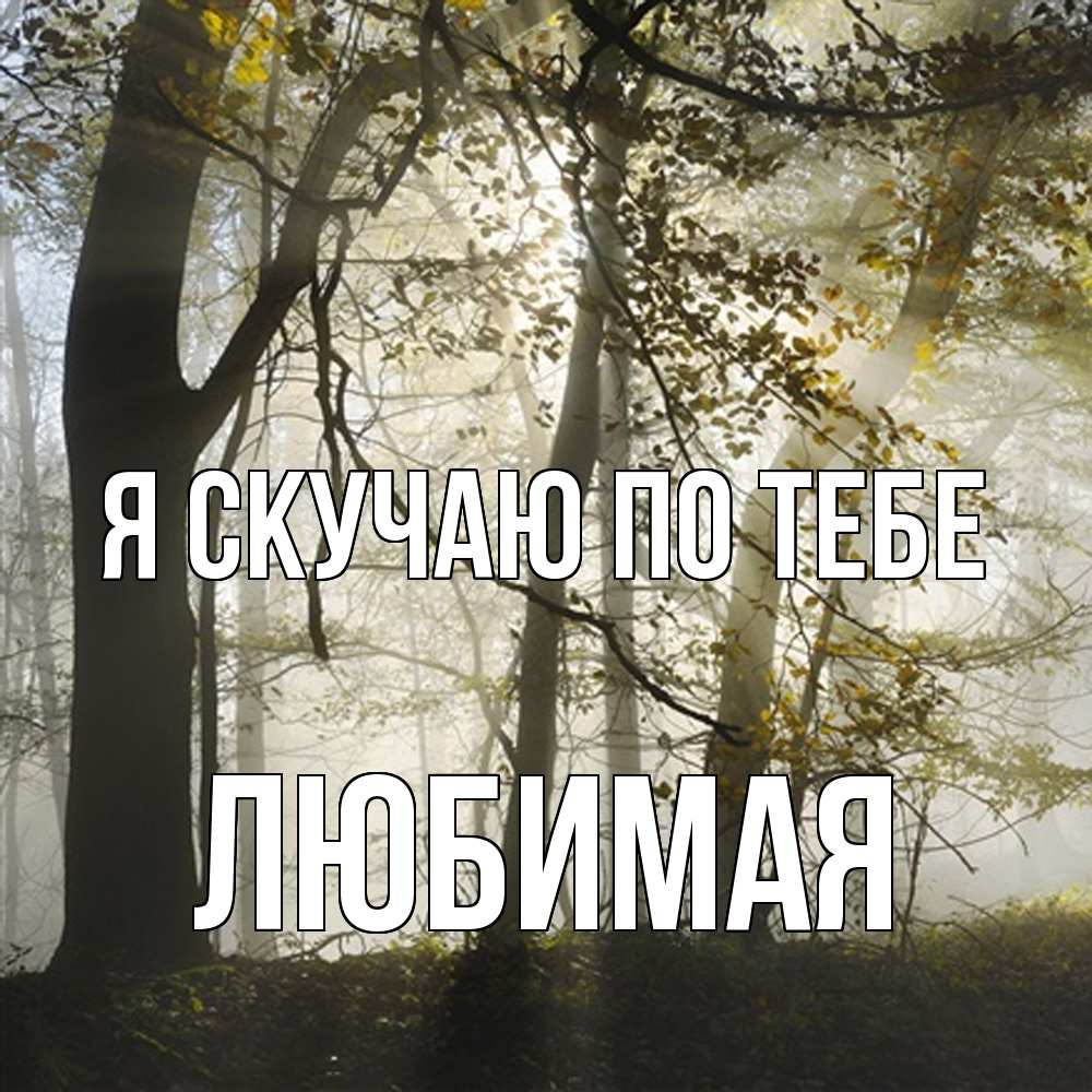 Открытка  с именем. Любимая, Я скучаю по тебе  
