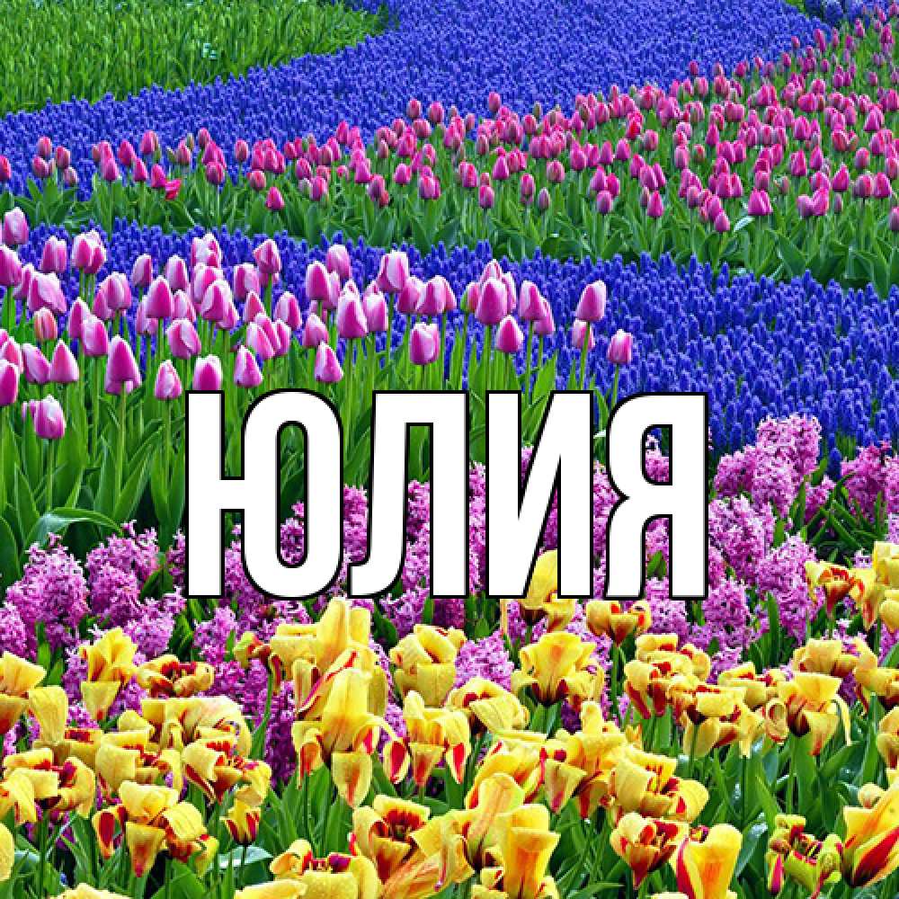 Открытка  с именем. Юлия, Главная  
