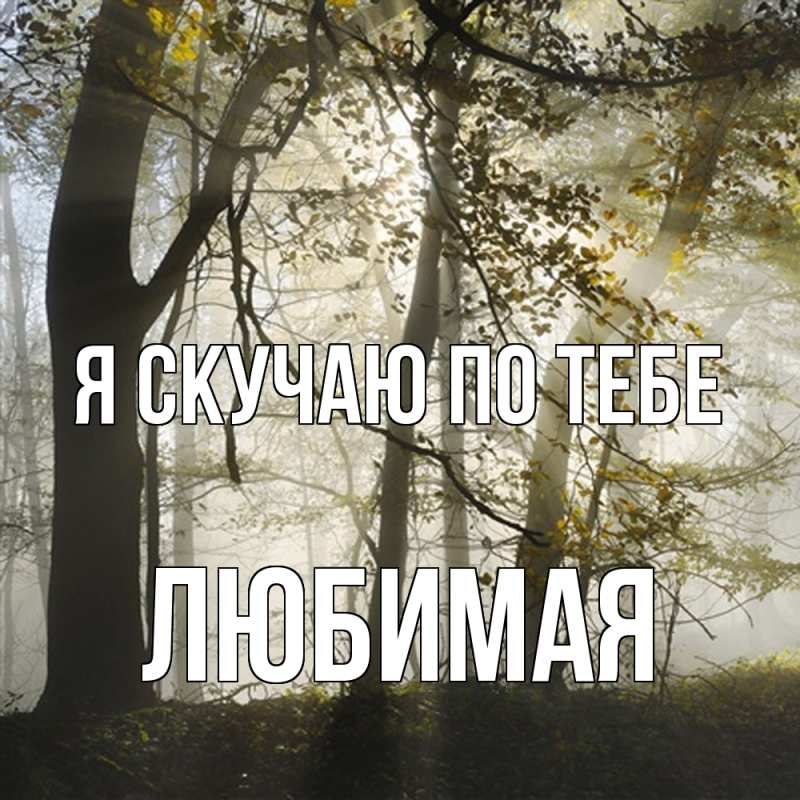 Картинка Я скучаю по тебе, Любимая
