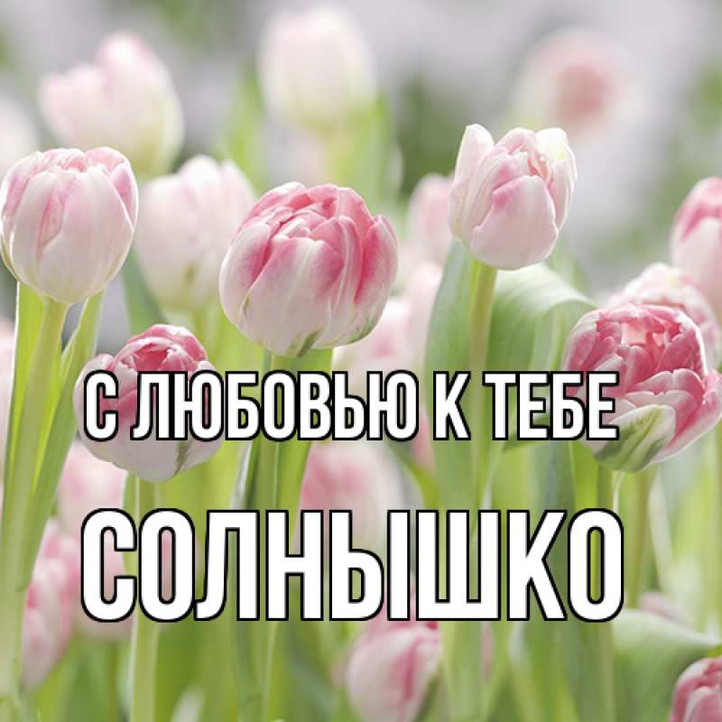 Картинка С любовью к тебе, Солнышко