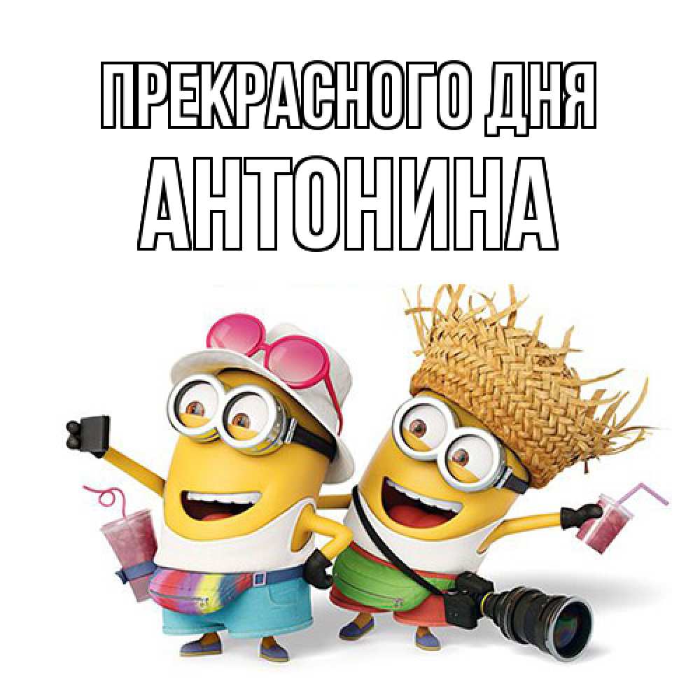 Открытка  с именем. Антонина, Прекрасного дня  