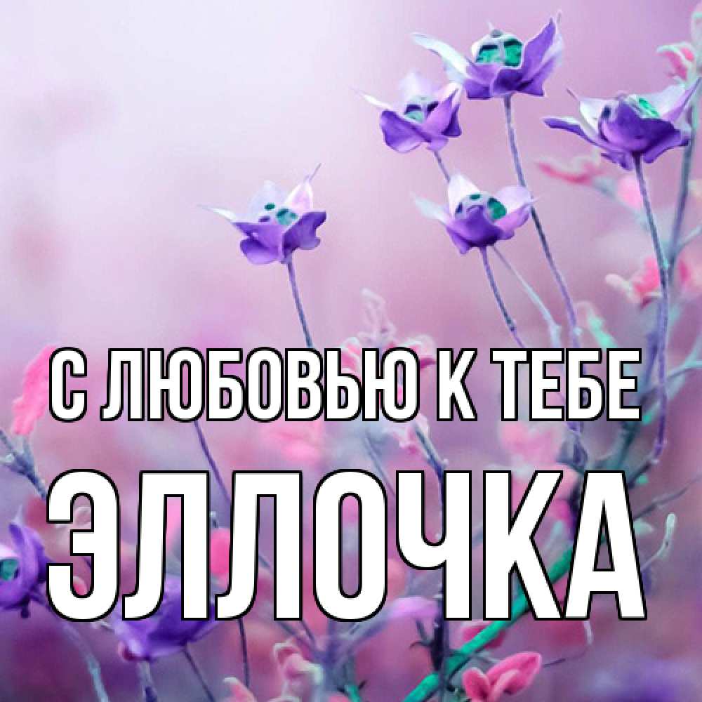 Открытка  с именем. Эллочка, С любовью к тебе  
