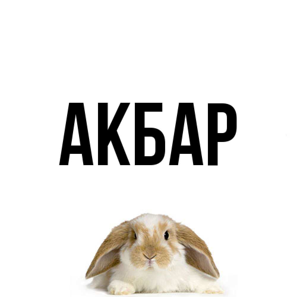 Открытка  с именем. Акбар, Главная  