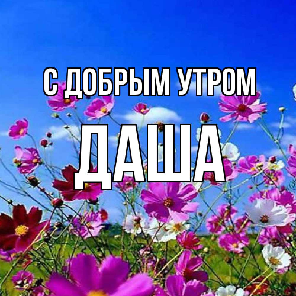 Открытка  с именем. Даша, С добрым утром  