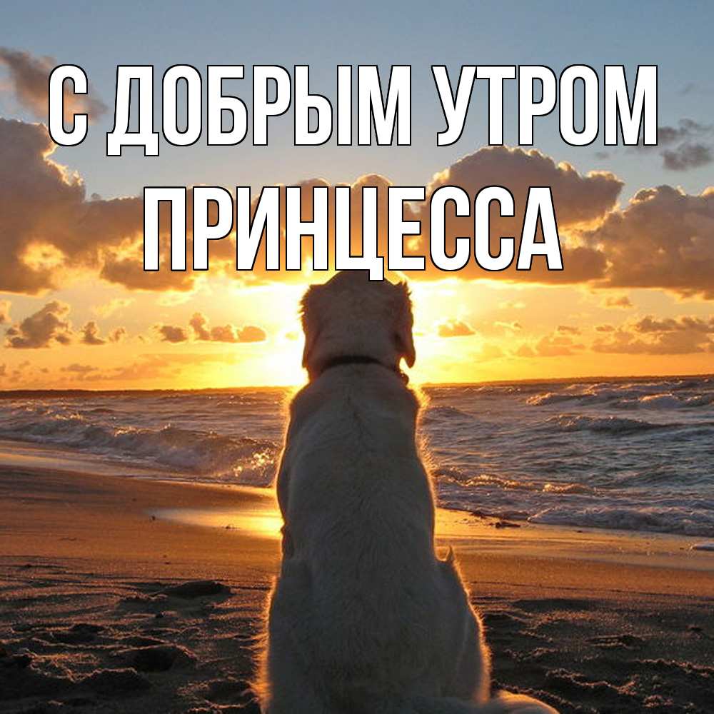 Открытка  с именем. Принцесса, С добрым утром  
