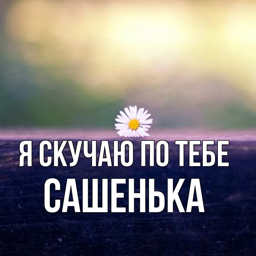 Открытка  с именем. Сашенька, Я скучаю по тебе  