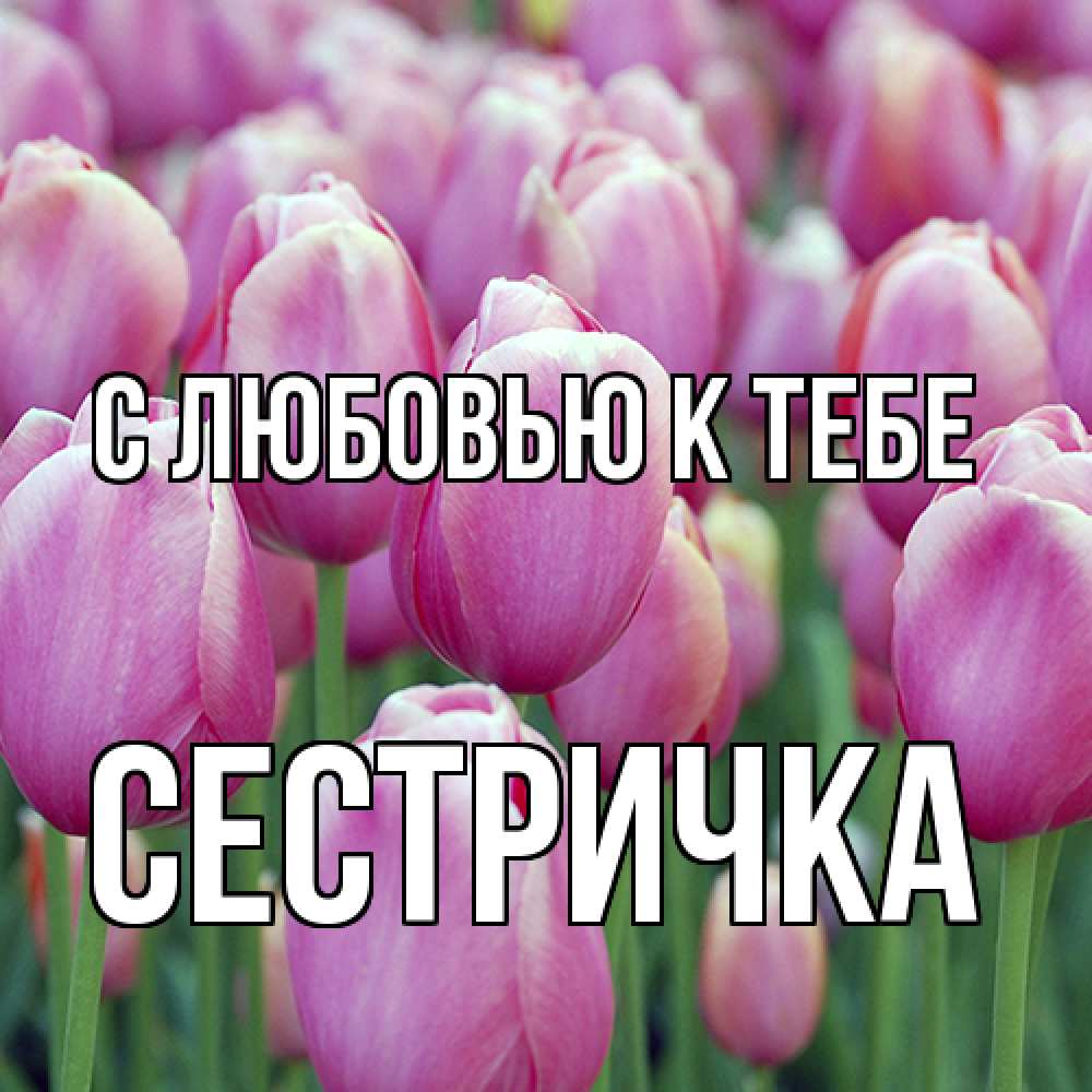 Открытка  с именем. Сестричка, С любовью к тебе  