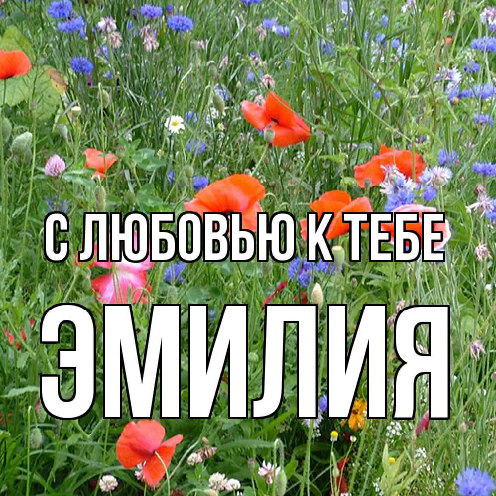 Открытка  с именем. Эмилия, С любовью к тебе  