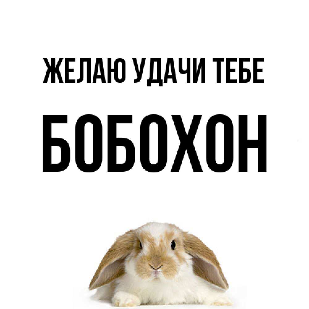 Открытка  с именем. Бобохон, Желаю удачи тебе  