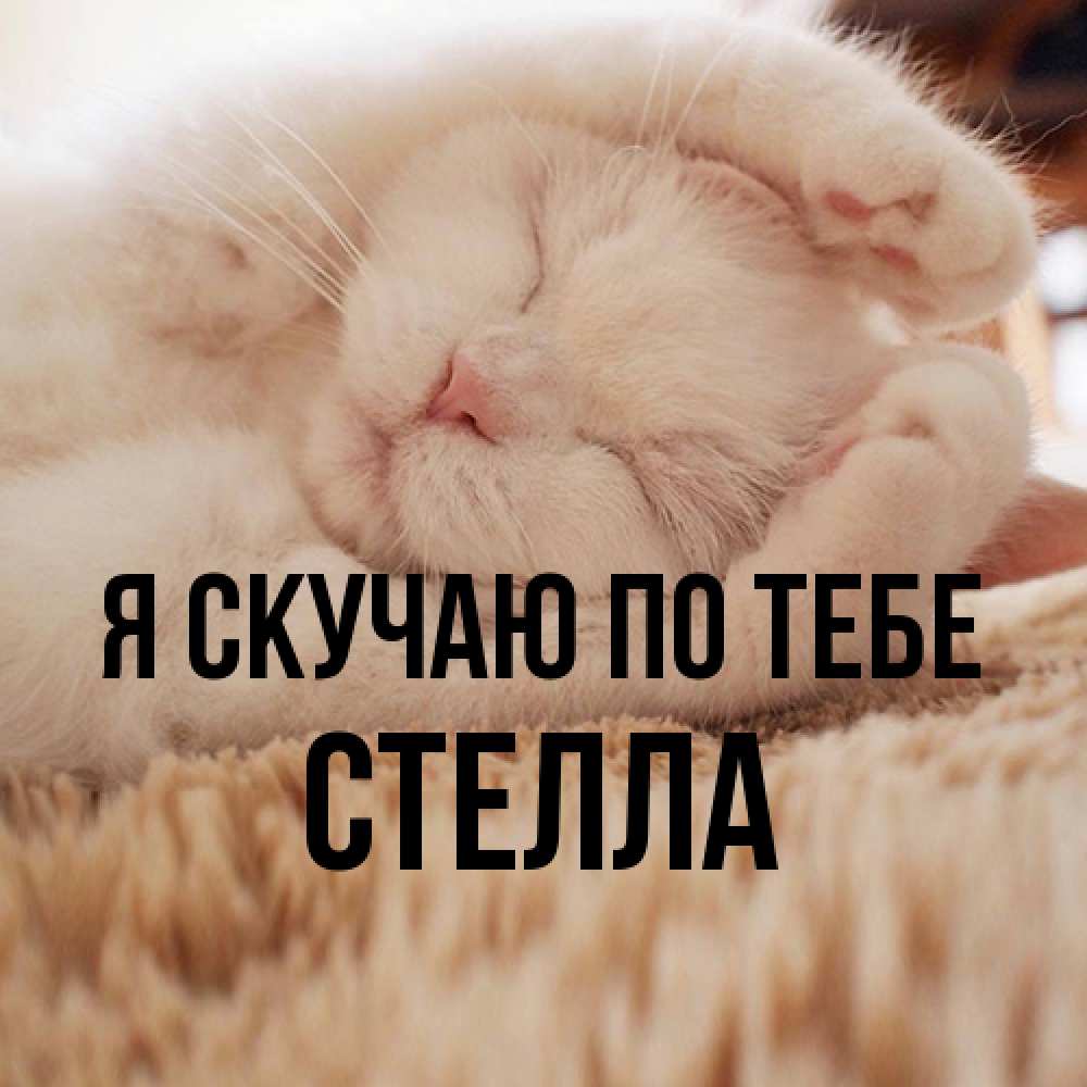 Открытка  с именем. Стелла, Я скучаю по тебе  