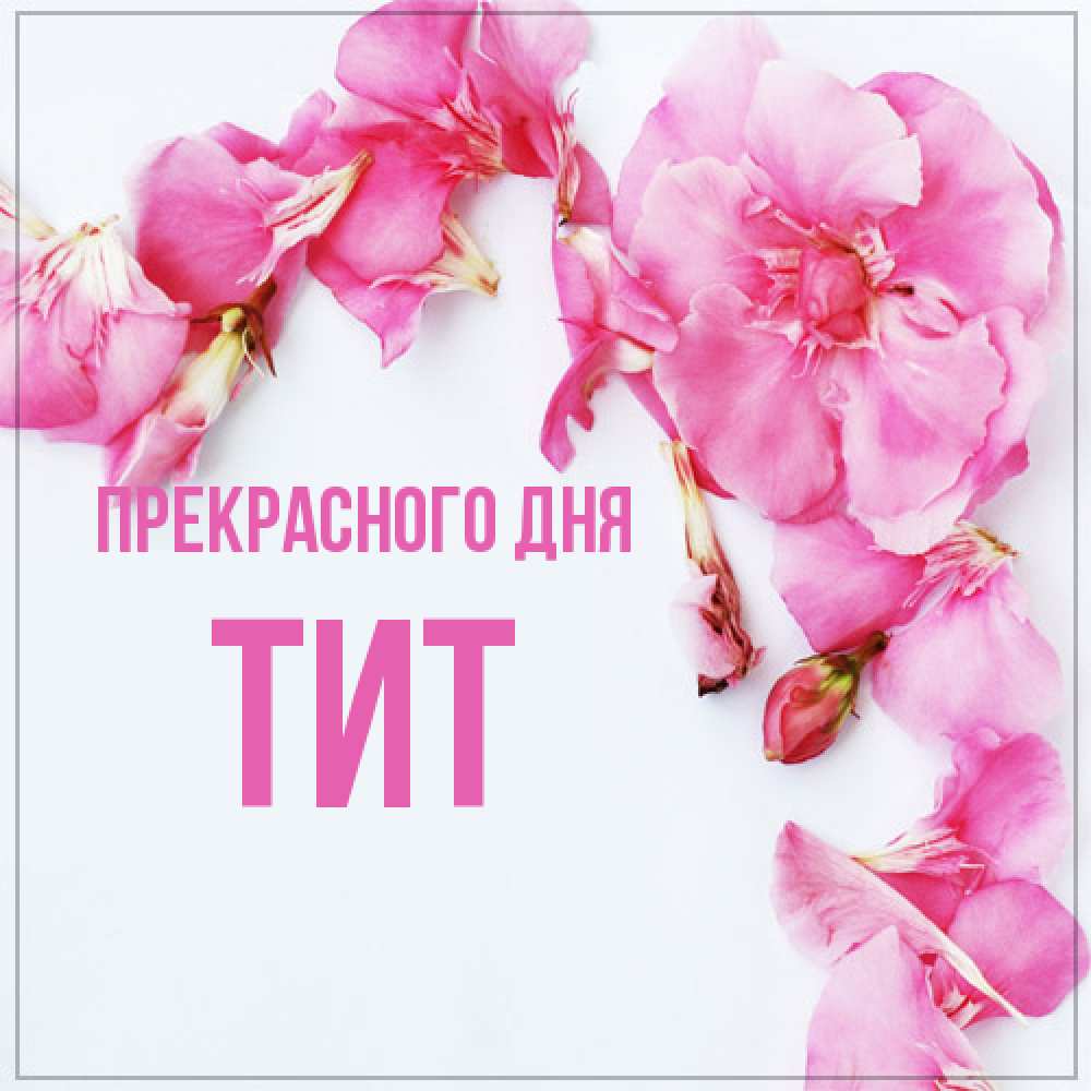 Открытка  с именем. Тит, Прекрасного дня  