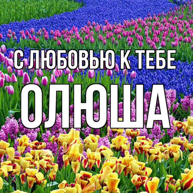 Картинка С любовью к тебе, Олюша