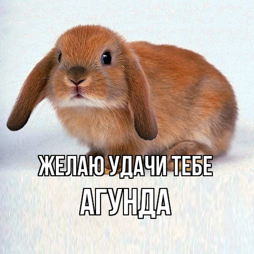 Открытка  с именем. Агунда, Желаю удачи тебе  