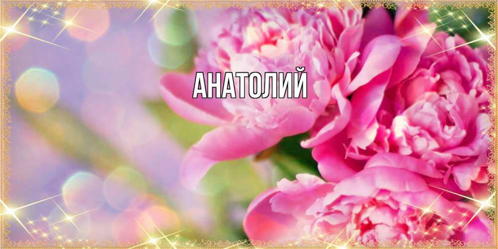 Открытка  с именем. Анатолий, Главная  