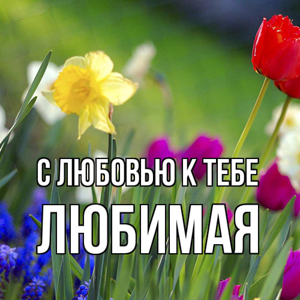 Открытка  с именем. Любимая, С любовью к тебе  