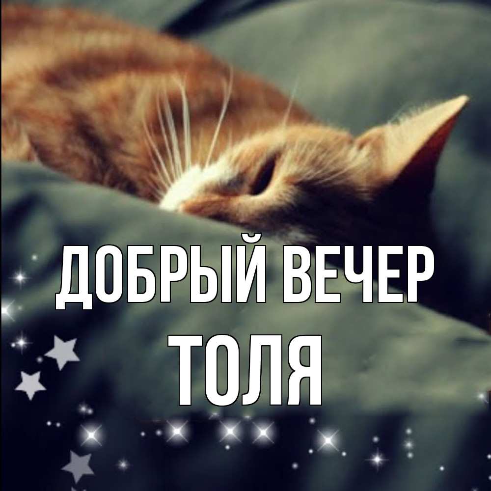 Открытка  с именем. Толя, Добрый вечер  