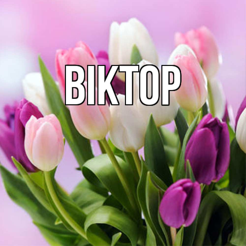 Открытка  с именем. Віктор, Главная  