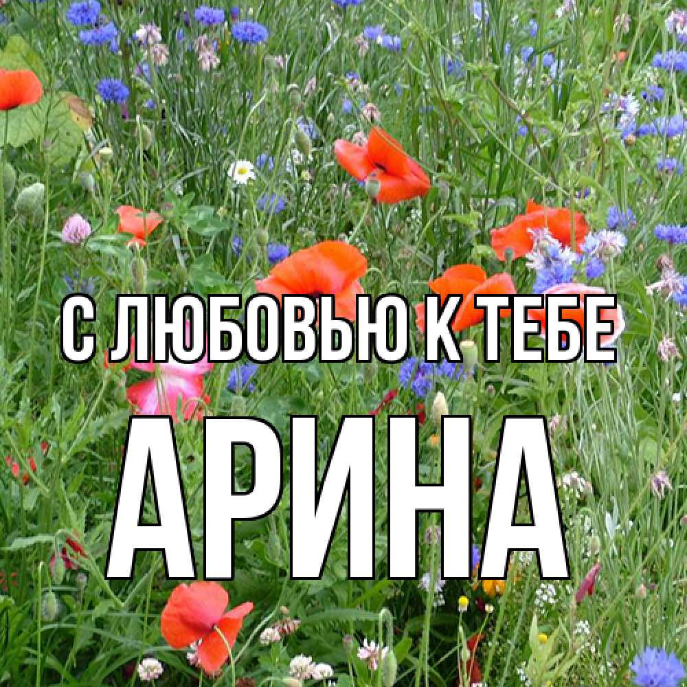 Открытка  с именем. Арина, С любовью к тебе  