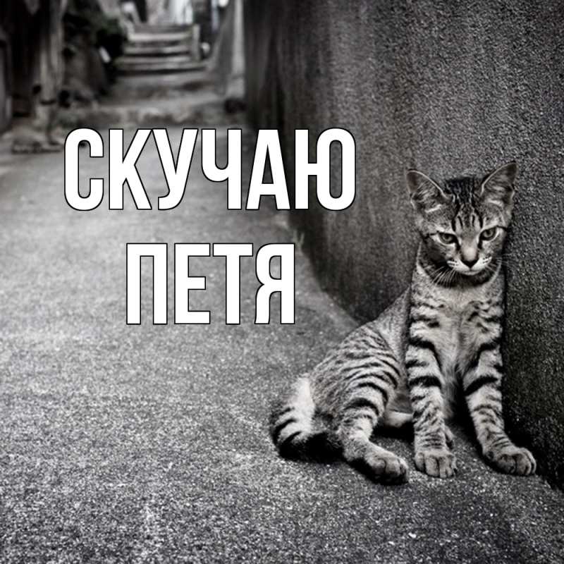 Картинка Скучаю, Петя