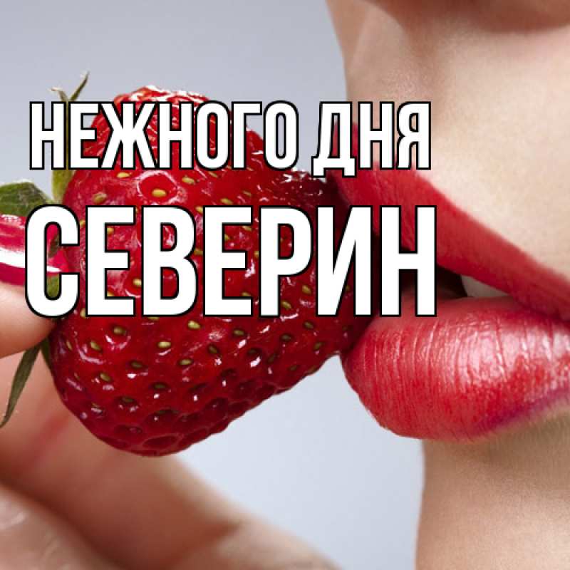 Картинка Нежного дня, Северин