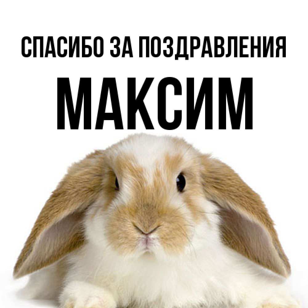 Открытка  с именем. Максим, Спасибо за поздравления  