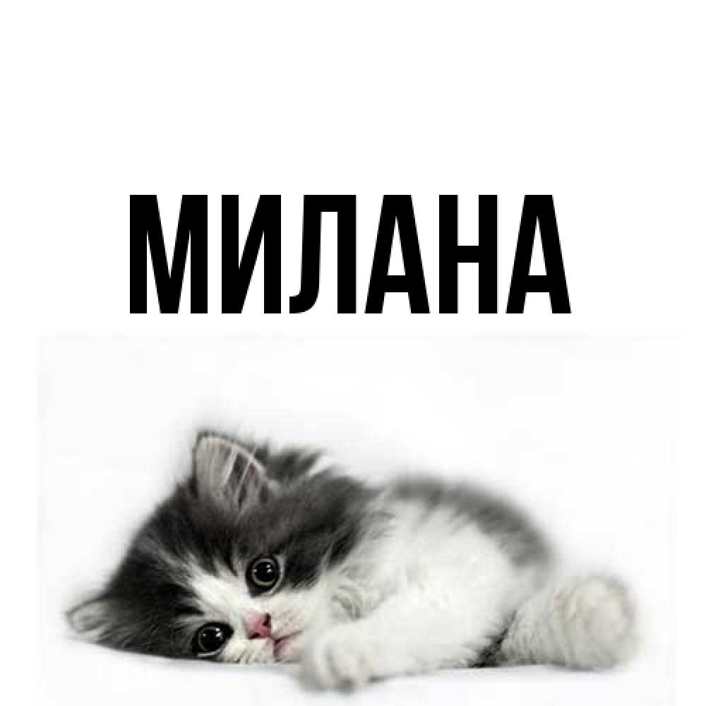 Открытка  с именем. Милана, Главная  