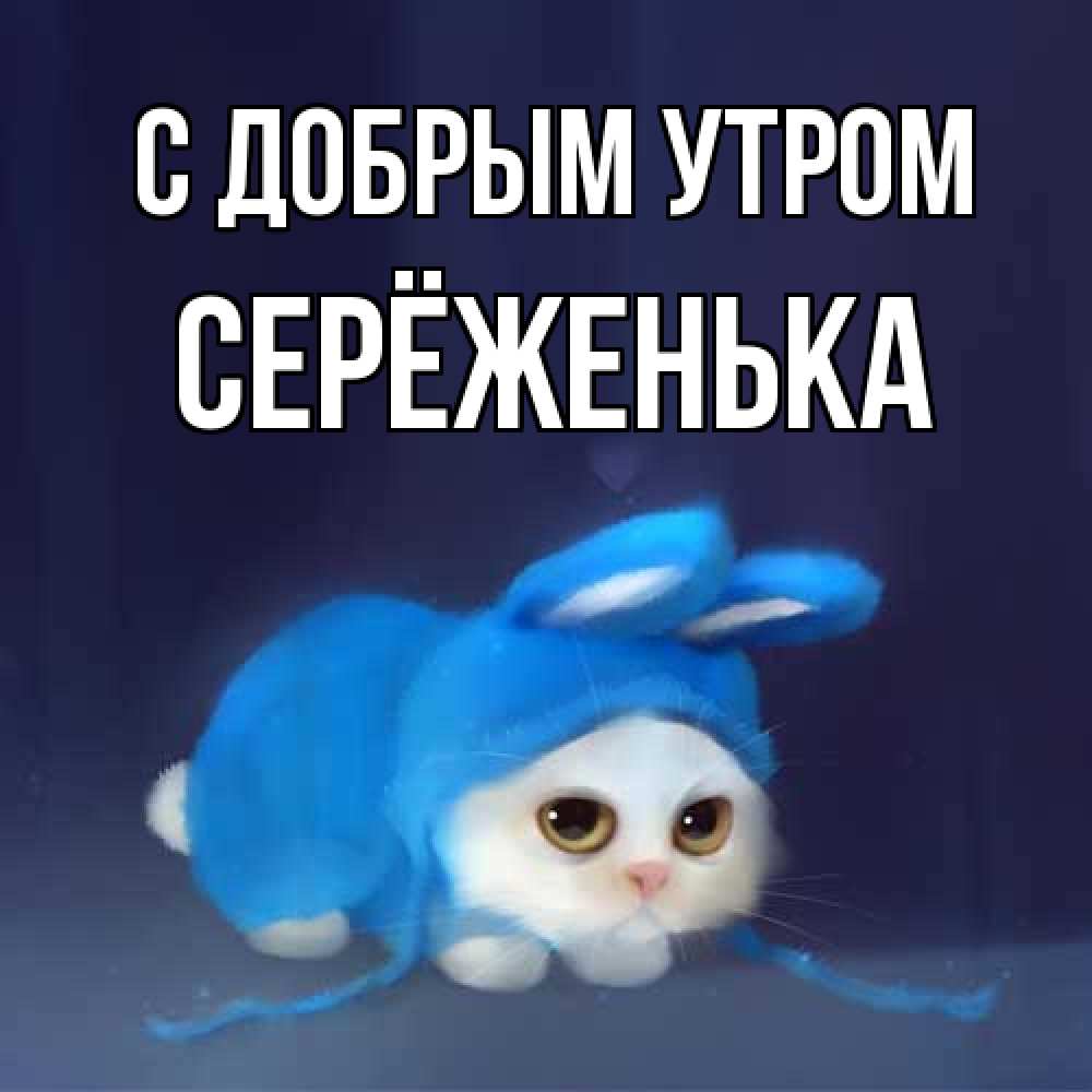 Открытка  с именем. Серёженька, С добрым утром  