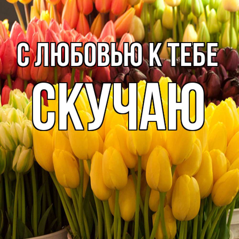 Открытка  с именем. Скучаю, С любовью к тебе  