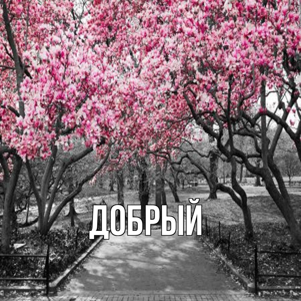 Открытка  с именем. Добрый, Главная  