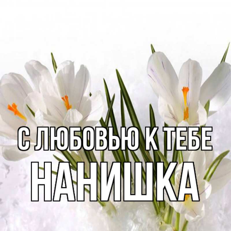 Картинка С любовью к тебе, Нанишка