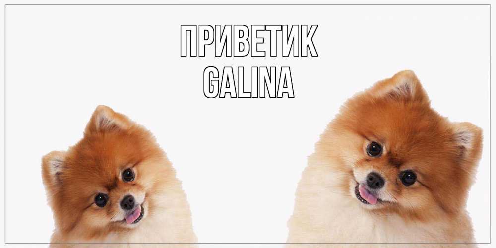 Открытка  с именем. Galina, приветик  